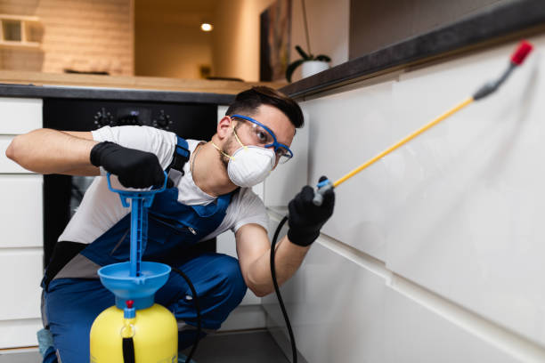 Best Bed Bug Extermination  in Uvalde, TX
