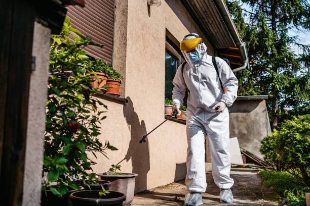 Best Pest Removal Services  in Uvalde, TX