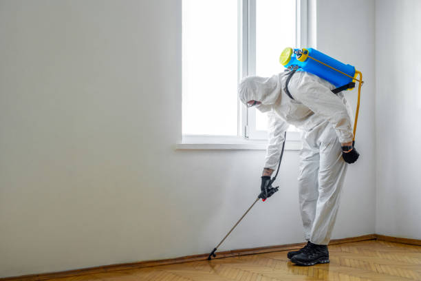 Best Affordable Pest Control Services  in Uvalde, TX