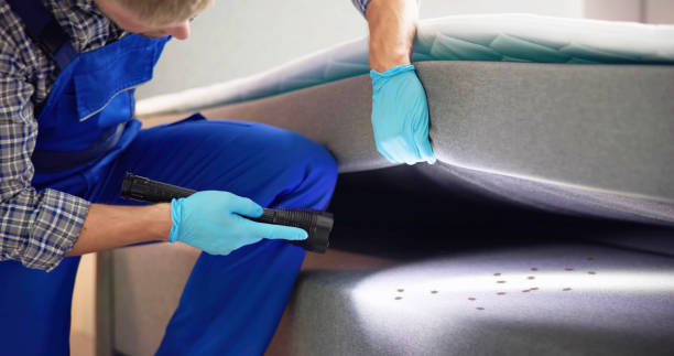 Best Termite Control Services  in Uvalde, TX