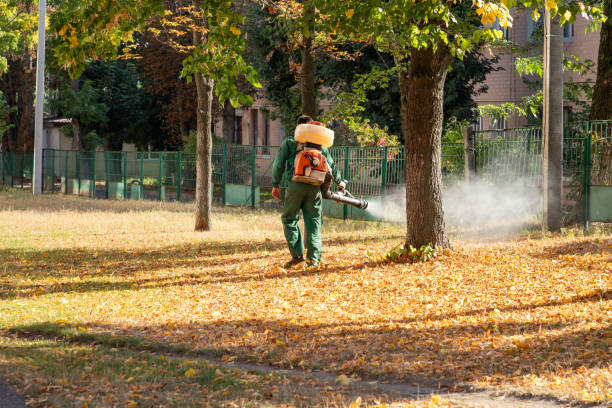 Professional Pest Control in Uvalde, TX